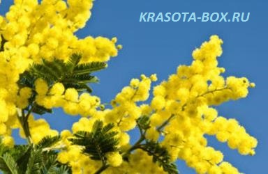 Как отметить 8 Марта 2017 в Москве Как отметить 8 Марта 2017 в Москве