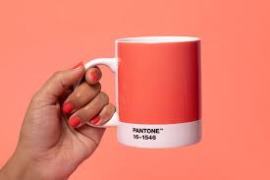 Главный цвет 2019 года по версии PANTONE Главный цвет 2019 года по версии PANTONE